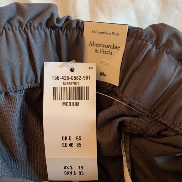 NWT Abercrombie & Fitch gray high rise wind pant joggers - Picture 11 of 15